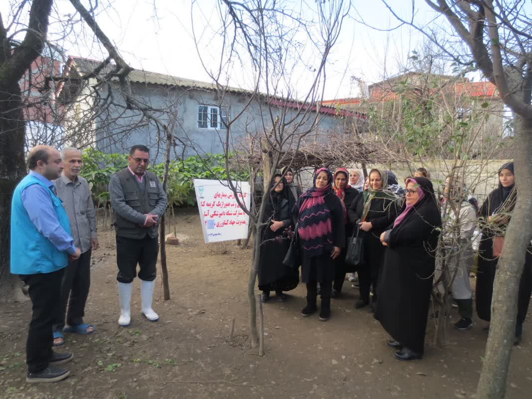 برگزاری کارگاه آموزشی آشنایی با آنفلوانزای حاد پرندگان ویژه بانوان روستایی آستارا